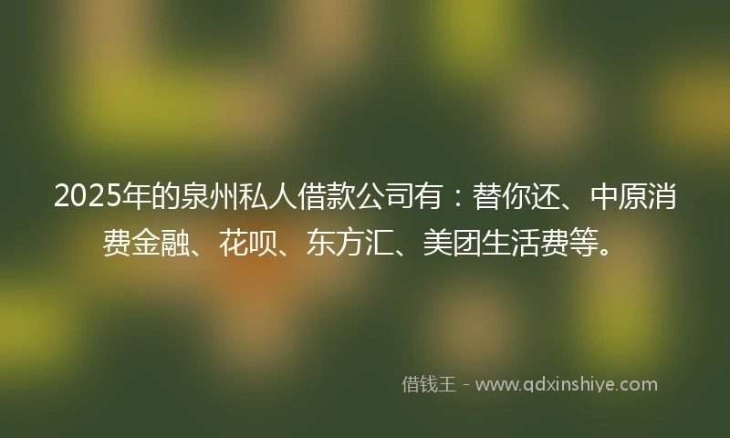 2025年的泉州私人借款公司有：替你还、中原消费金融、花呗、东方汇、美团生活费等。