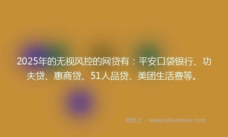 2025年的无视风控的网贷有：平安口袋银行、功夫贷、惠商贷、51人品贷、美团生活费等。