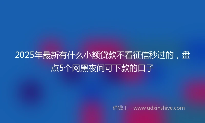 2025年最新有什么小额贷款不看征信秒过的，盘点5个网黑夜间可下款的口子