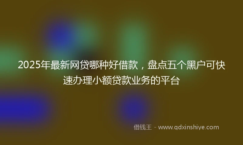2025年最新网贷哪种好借款，盘点五个黑户可快速办理小额贷款业务的平台
