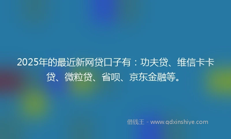 2025年的最近新网贷口子有：功夫贷、维信卡卡贷、微粒贷、省呗、京东金融等。
