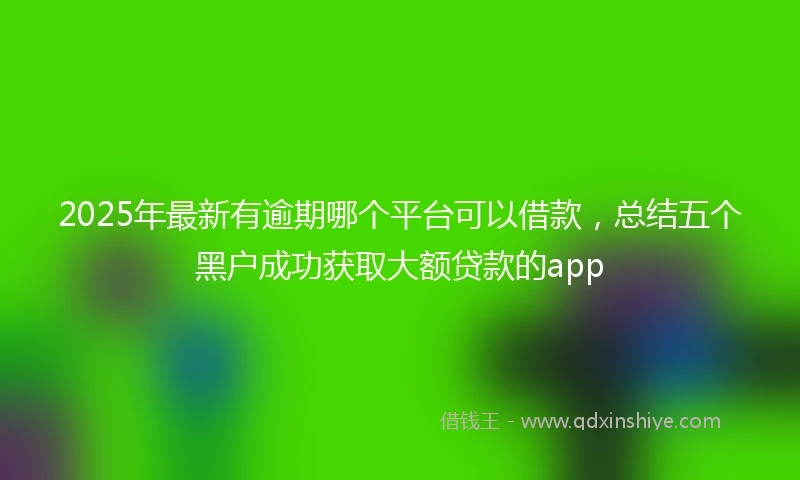 2025年最新有逾期哪个平台可以借款，总结五个黑户成功获取大额贷款的app