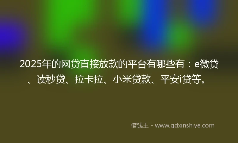 2025年的网贷直接放款的平台有哪些有：e微贷、读秒贷、拉卡拉、小米贷款、平安i贷等。