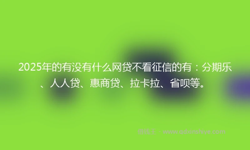2025年的有没有什么网贷不看征信的有：分期乐、人人贷、惠商贷、拉卡拉、省呗等。
