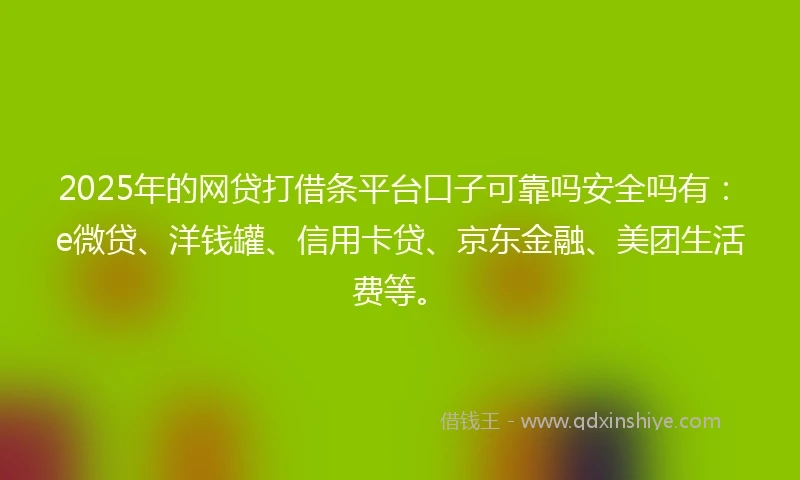 2025年的网贷打借条平台口子可靠吗安全吗有：e微贷、洋钱罐、信用卡贷、京东金融、美团生活费等。