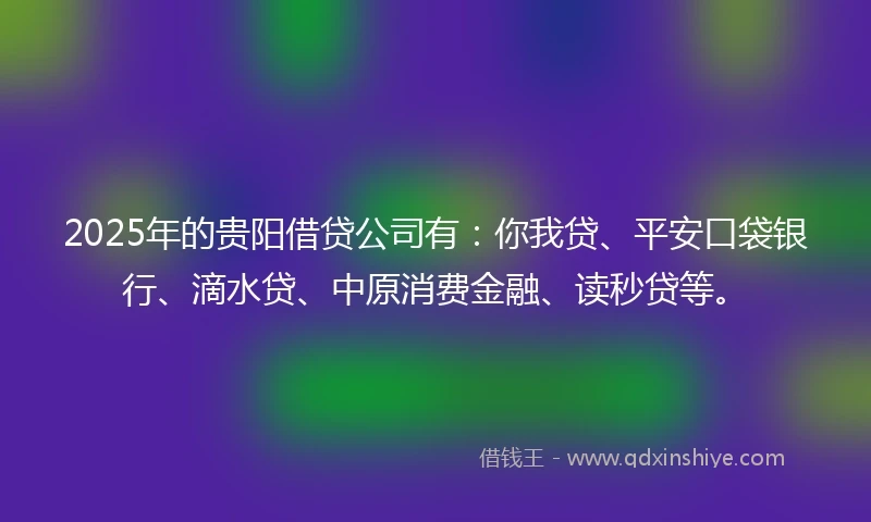 2025年的贵阳借贷公司有：你我贷、平安口袋银行、滴水贷、中原消费金融、读秒贷等。