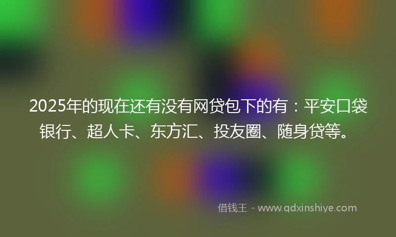 2025年的现在还有没有网贷包下的有：平安口袋银行、超人卡、东方汇、投友圈、随身贷等。