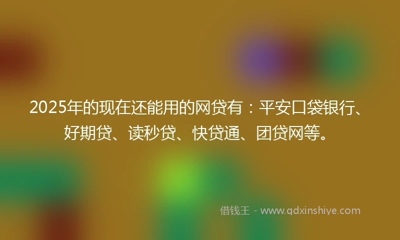 2025年的现在还能用的网贷有：平安口袋银行、好期贷、读秒贷、快贷通、团贷网等。