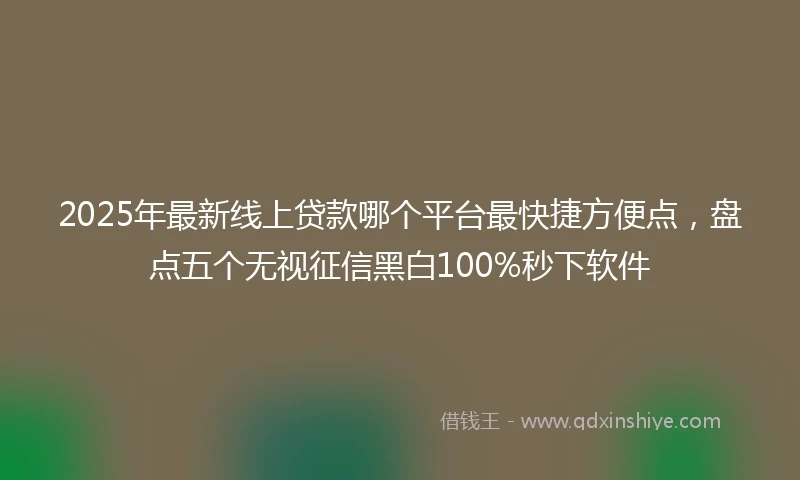 2025年最新线上贷款哪个平台最快捷方便点，盘点五个无视征信黑白100%秒下软件
