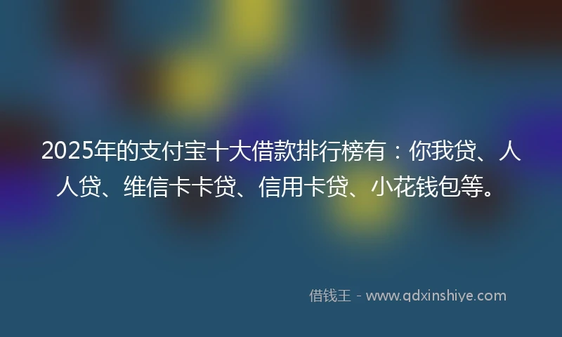 2025年的支付宝十大借款排行榜有：你我贷、人人贷、维信卡卡贷、信用卡贷、小花钱包等。