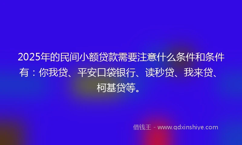 2025年的民间小额贷款需要注意什么条件和条件有：你我贷、平安口袋银行、读秒贷、我来贷、柯基贷等。