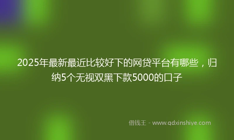 2025年最新最近比较好下的网贷平台有哪些，归纳5个无视双黑下款5000的口子
