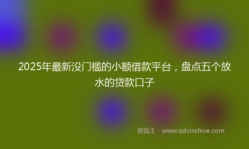 2025年最新没门槛的小额借款平台，盘点五个放水的贷款口子