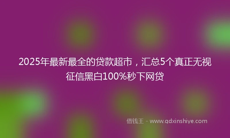 2025年最新最全的贷款超市，汇总5个真正无视征信黑白100%秒下网贷