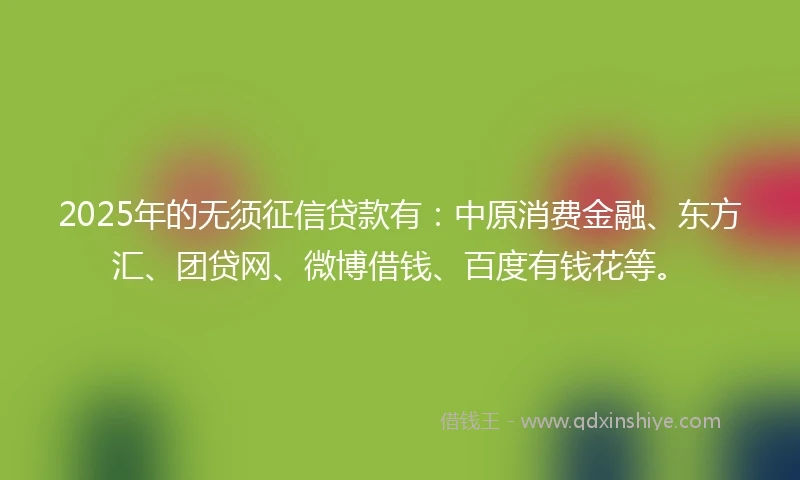 2025年的无须征信贷款有：中原消费金融、东方汇、团贷网、微博借钱、百度有钱花等。