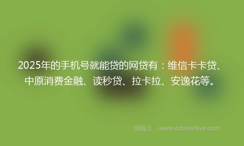2025年的手机号就能贷的网贷有：维信卡卡贷、中原消费金融、读秒贷、拉卡拉、安逸花等。