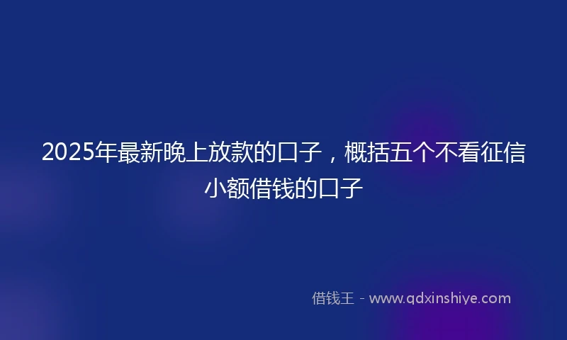 2025年最新晚上放款的口子，概括五个不看征信小额借钱的口子