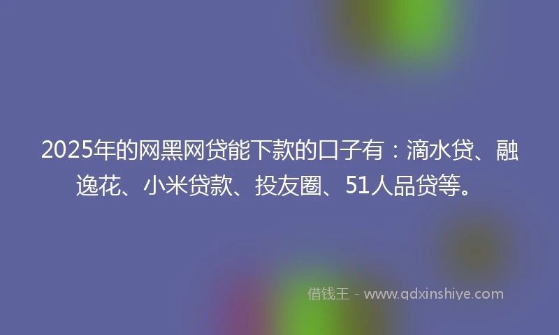 2025年的网黑网贷能下款的口子有：滴水贷、融逸花、小米贷款、投友圈、51人品贷等。