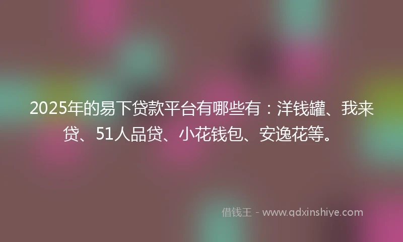 2025年的易下贷款平台有哪些有：洋钱罐、我来贷、51人品贷、小花钱包、安逸花等。