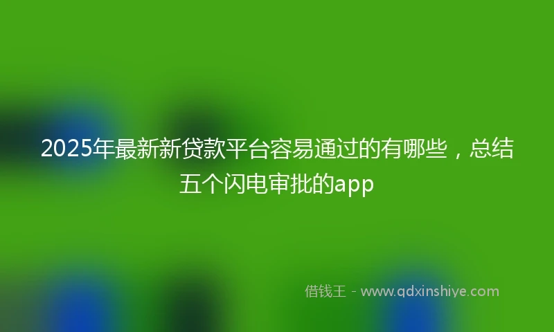 2025年最新新贷款平台容易通过的有哪些，总结五个闪电审批的app