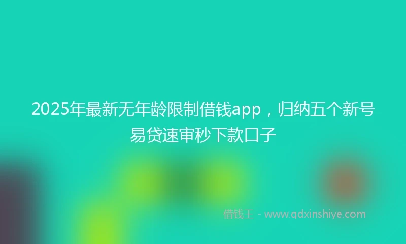 2025年最新无年龄限制借钱app，归纳五个新号易贷速审秒下款口子