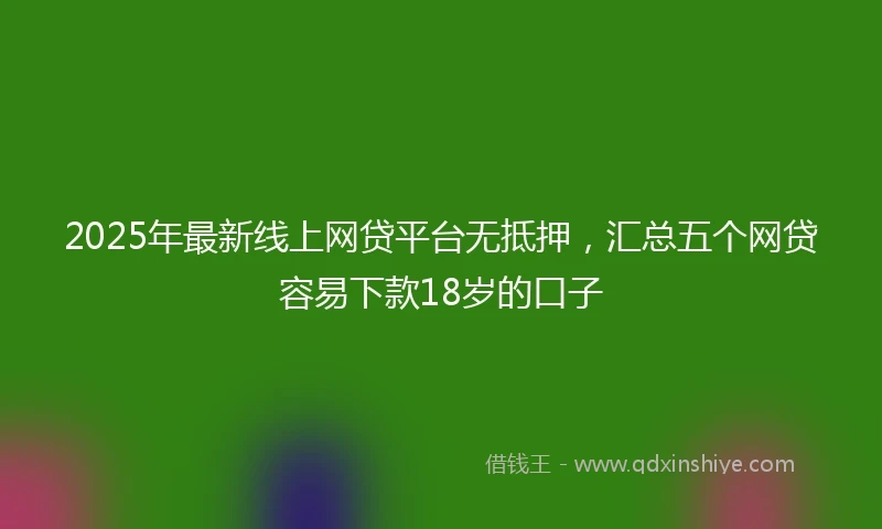 2025年最新线上网贷平台无抵押，汇总五个网贷容易下款18岁的口子