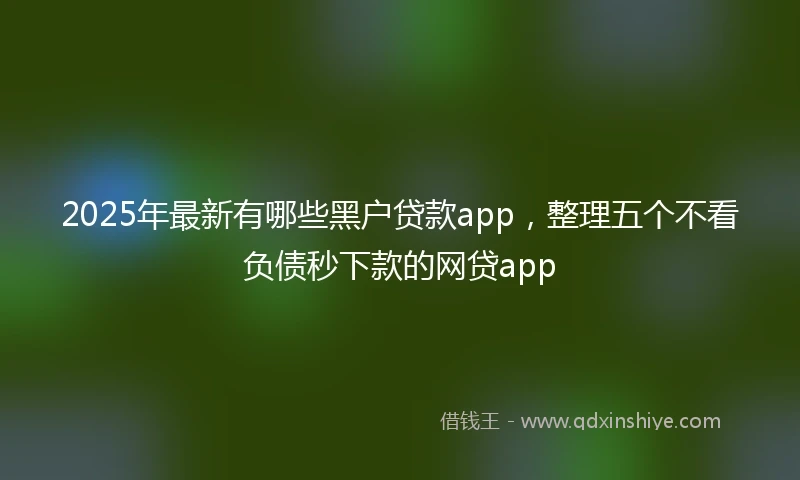 2025年最新有哪些黑户贷款app，整理五个不看负债秒下款的网贷app