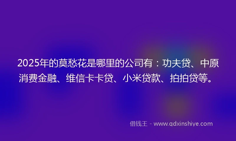 2025年的莫愁花是哪里的公司有：功夫贷、中原消费金融、维信卡卡贷、小米贷款、拍拍贷等。