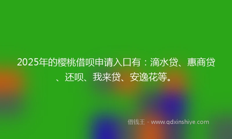 2025年的樱桃借呗申请入口有：滴水贷、惠商贷、还呗、我来贷、安逸花等。