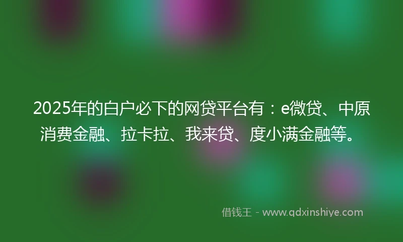 2025年的白户必下的网贷平台有：e微贷、中原消费金融、拉卡拉、我来贷、度小满金融等。