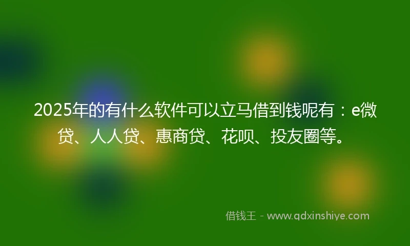 2025年的有什么软件可以立马借到钱呢有：e微贷、人人贷、惠商贷、花呗、投友圈等。