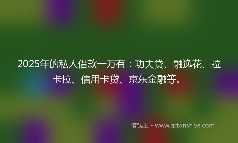 2025年的私人借款一万有：功夫贷、融逸花、拉卡拉、信用卡贷、京东金融等。