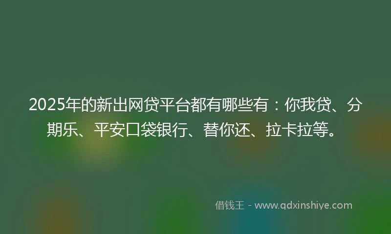 2025年的新出网贷平台都有哪些有：你我贷、分期乐、平安口袋银行、替你还、拉卡拉等。