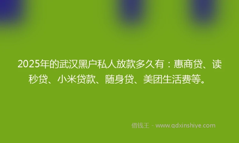 2025年的武汉黑户私人放款多久有：惠商贷、读秒贷、小米贷款、随身贷、美团生活费等。