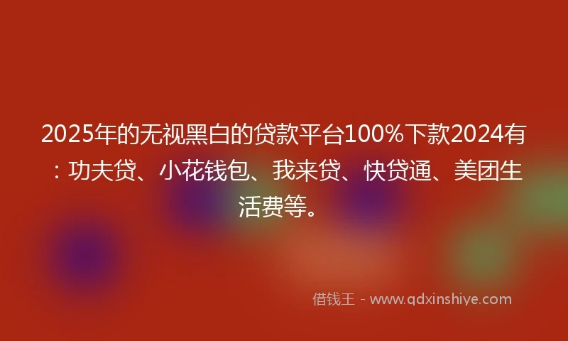 2025年的无视黑白的贷款平台100%下款2024有：功夫贷、小花钱包、我来贷、快贷通、美团生活费等。