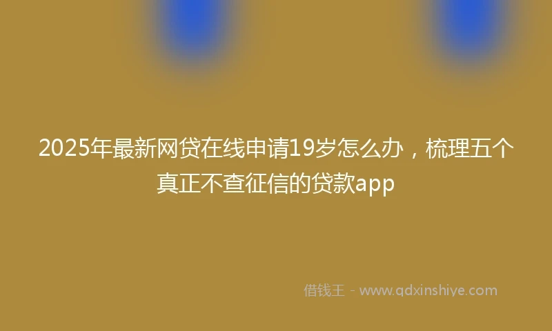 2025年最新网贷在线申请19岁怎么办，梳理五个真正不查征信的贷款app
