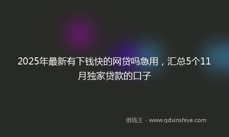 2025年最新有下钱快的网贷吗急用，汇总5个11月独家贷款的口子