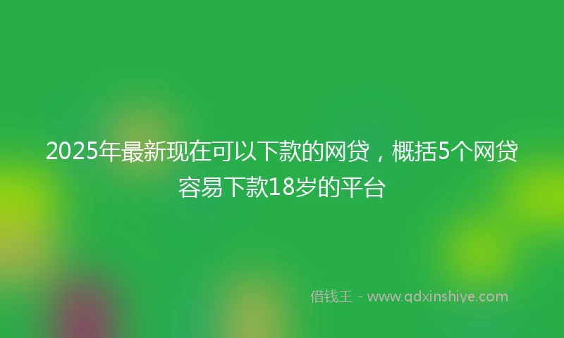 2025年最新现在可以下款的网贷，概括5个网贷容易下款18岁的平台