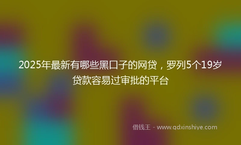 2025年最新有哪些黑口子的网贷，罗列5个19岁贷款容易过审批的平台