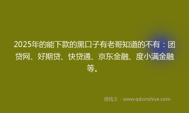 2025年的能下款的黑口子有老哥知道的不有：团贷网、好期贷、快贷通、京东金融、度小满金融等。