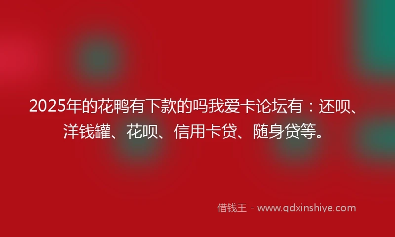 2025年的花鸭有下款的吗我爱卡论坛有：还呗、洋钱罐、花呗、信用卡贷、随身贷等。