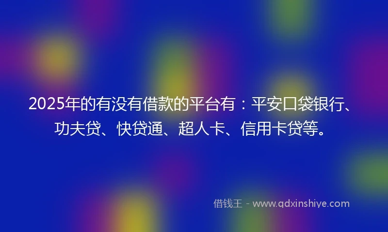 2025年的有没有借款的平台有：平安口袋银行、功夫贷、快贷通、超人卡、信用卡贷等。