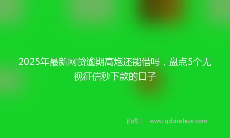2025年最新网贷逾期高炮还能借吗，盘点5个无视征信秒下款的口子