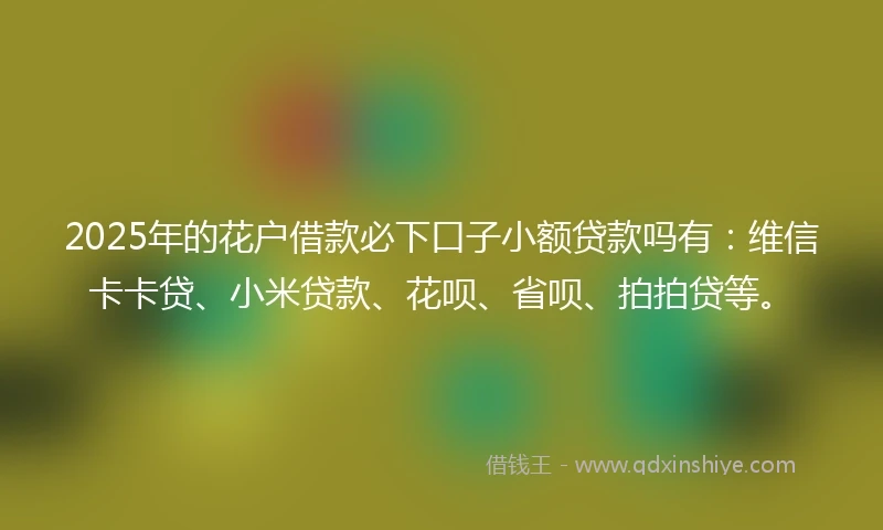 2025年的花户借款必下口子小额贷款吗有：维信卡卡贷、小米贷款、花呗、省呗、拍拍贷等。