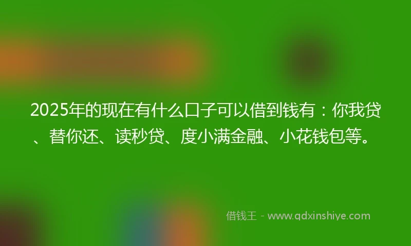 2025年的现在有什么口子可以借到钱有：你我贷、替你还、读秒贷、度小满金融、小花钱包等。