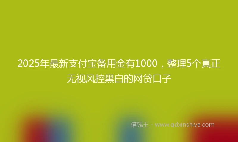 2025年最新支付宝备用金有1000，整理5个真正无视风控黑白的网贷口子