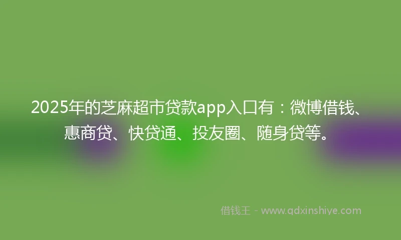 2025年的芝麻超市贷款app入口有：微博借钱、惠商贷、快贷通、投友圈、随身贷等。