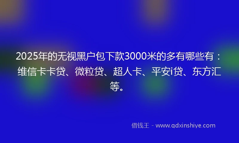 2025年的无视黑户包下款3000米的多有哪些有：维信卡卡贷、微粒贷、超人卡、平安i贷、东方汇等。