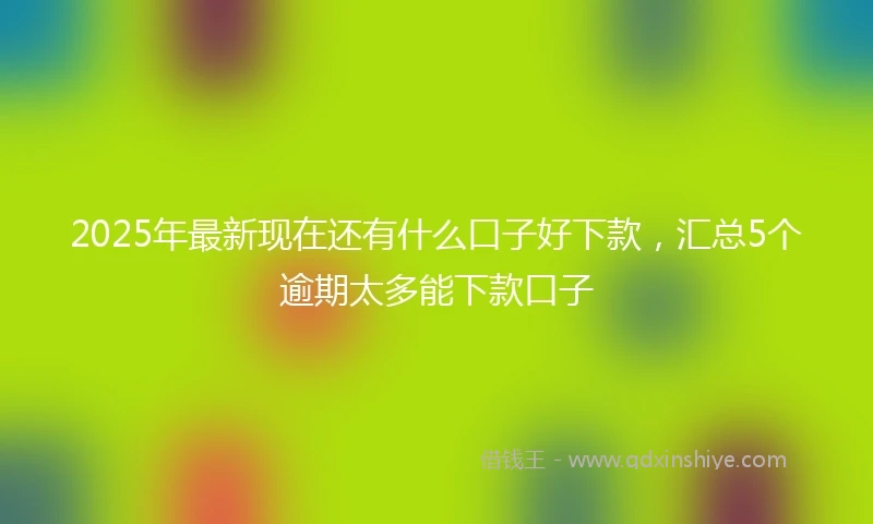 2025年最新现在还有什么口子好下款，汇总5个逾期太多能下款口子