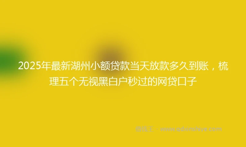 2025年最新湖州小额贷款当天放款多久到账，梳理五个无视黑白户秒过的网贷口子